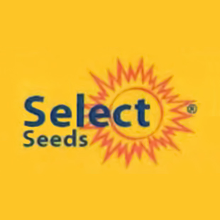 سلکت سیدز (Select Seeds)